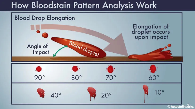 Blood Spatter Analysis: Unraveling the Story Behind Crime Scenes