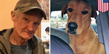 Dog Turns John Wick “Accidentally” Shoots Owner — Local Authorities Confused