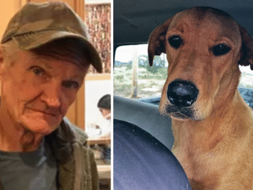 Dog Turns John Wick “Accidentally” Shoots Owner — Local Authorities Confused